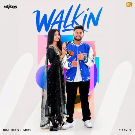 Walkin Brandon Harry Mp3 Song Download Djjohal